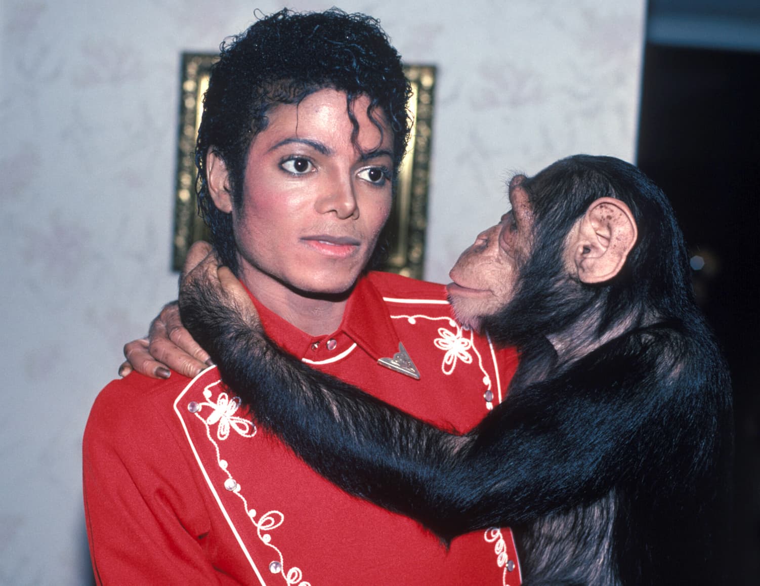  “TIL that Michael Jackson's chimpanzee 'Bubbles' is still alive at 40 years old and living in Florida.”